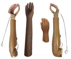 best-lower-limb-prosthetic-artificial-legs-panvel